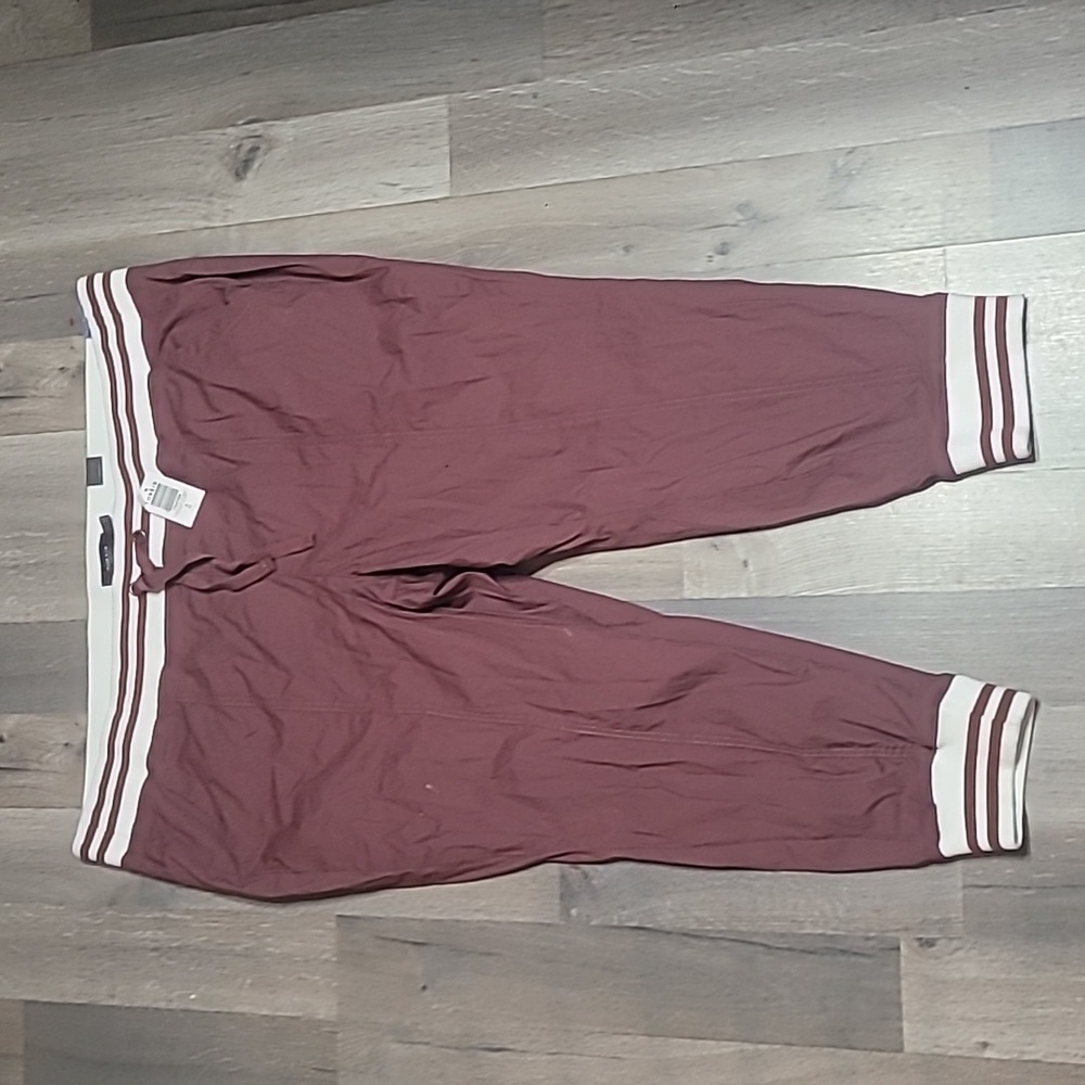 torrid Wine Jogger Pants with Striped Rib Cuffs - Picture 2 of 6